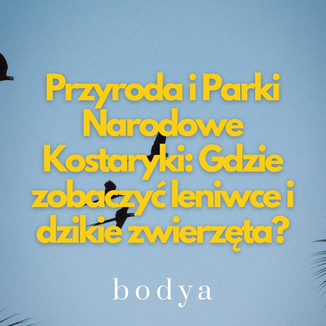Przyroda i Parki Narodowe Kostaryki: Gdzie zobaczyć leniwce i dzikie zwierzęta?